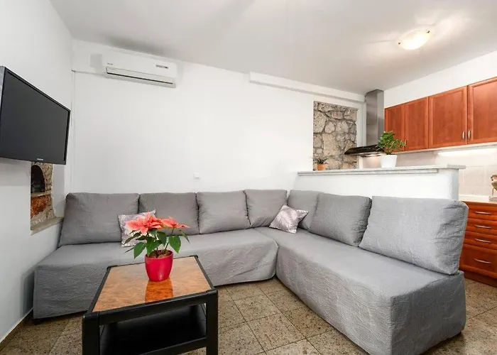 Apartment Danica By Briskva